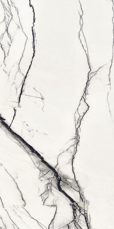 B&W Breach High-Glossy 24 x 48